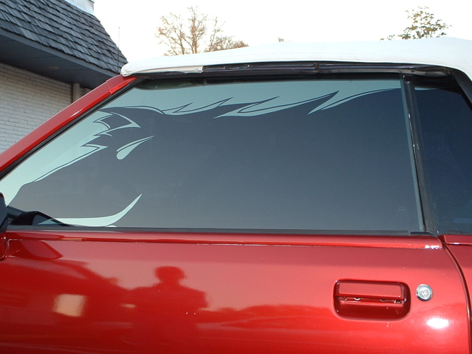 Image for Mustang Mustang